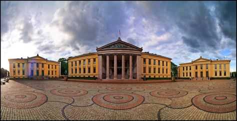 2020 Oslo Scholarship Winners Announced